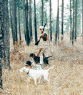 pic.gif (66064 bytes)