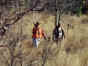 walking gunners1c.jpg (35357 bytes)